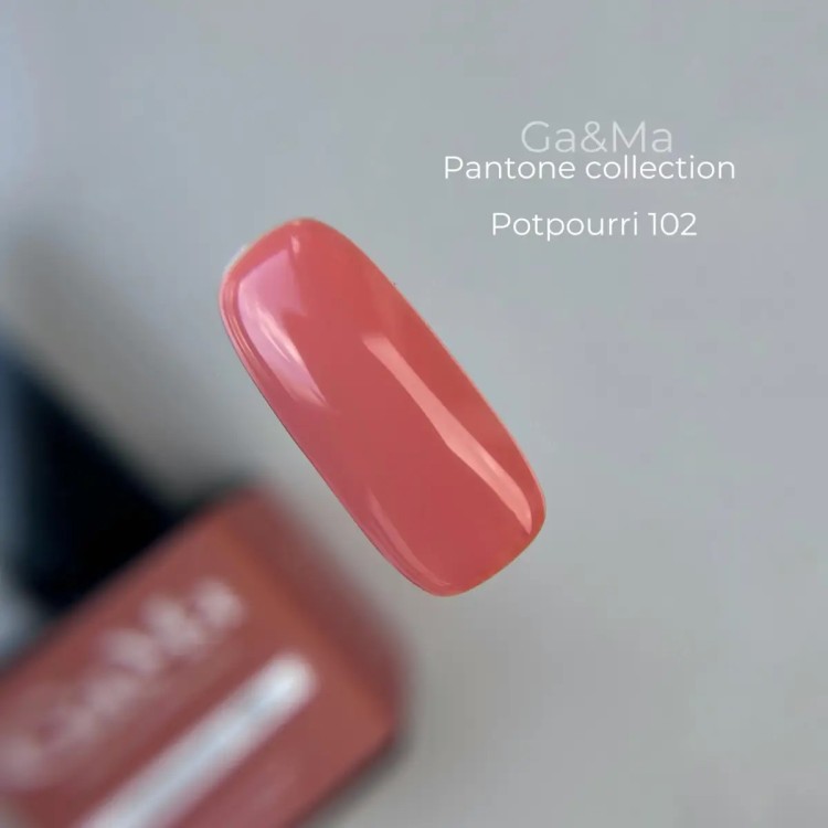 Гель лак Pantone collection 102 Potpourri 10 мл - nailyday.shop  