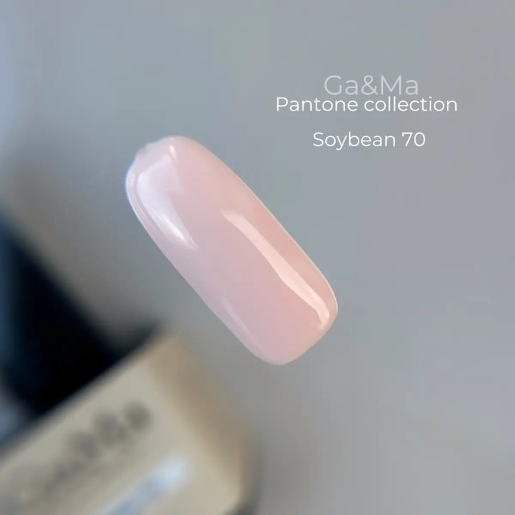 gely-lak-pantone-collection-070-soybean-nailyday-shop-cover Гель лак Pantone collection 070 Soybean 10 мл — изображение 1